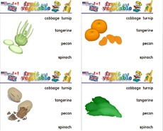 Holzcomputer fruit-vegetable 04.pdf